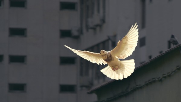 CHRZEST W DUCHU ŚWIĘTYM