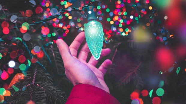 Por que o Natal é comemorado em 25 de dezembro? Por que o Natal é comemorado em 25 de dezembro?