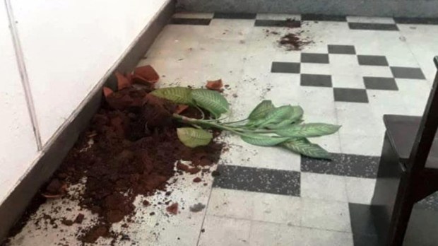 web3-venezuela-destrozos en la iglesia ntra sra de guadalupe en el estado zulia el 27 de enero de 2019 &#8211; foto @cevmedios