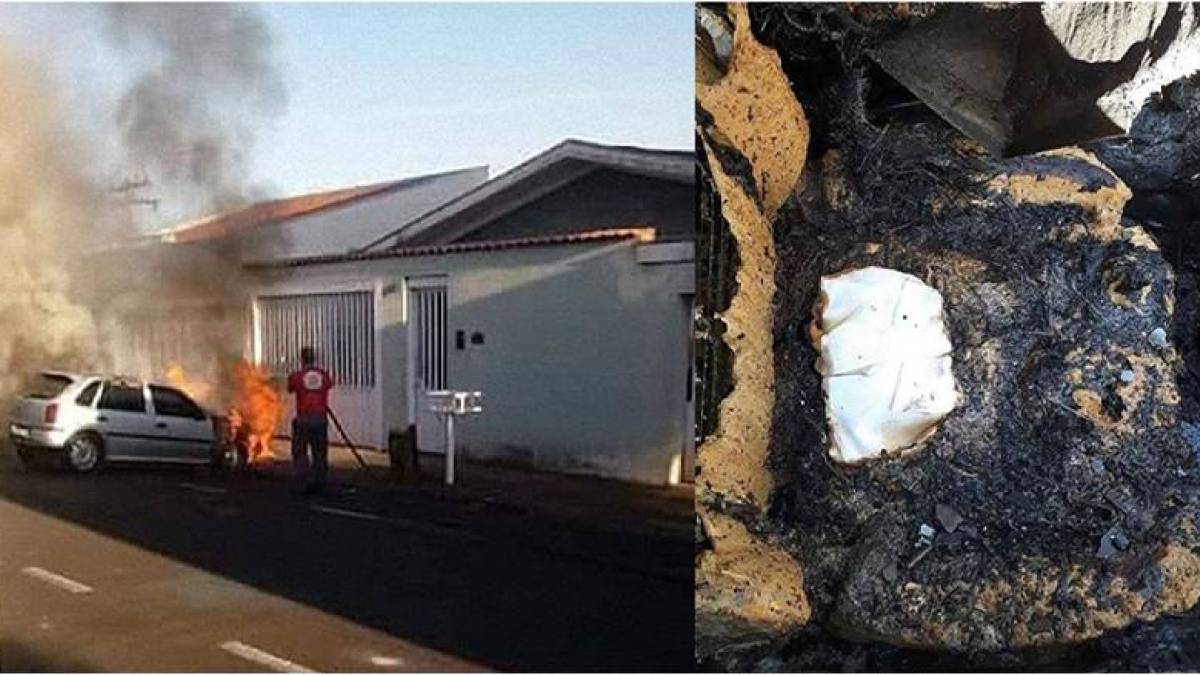 incendio-franca-teca