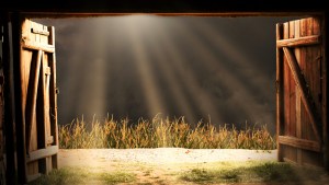 BARN FLOOR