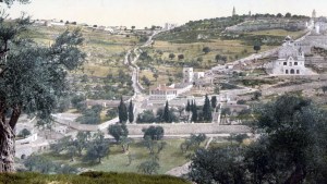 web3-mount-of-olives-gethsemane-general-view-jerusalem-flickr.jpg