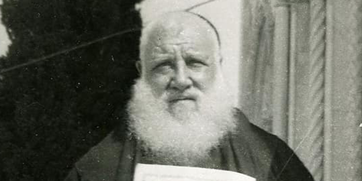 Domenico da Cese