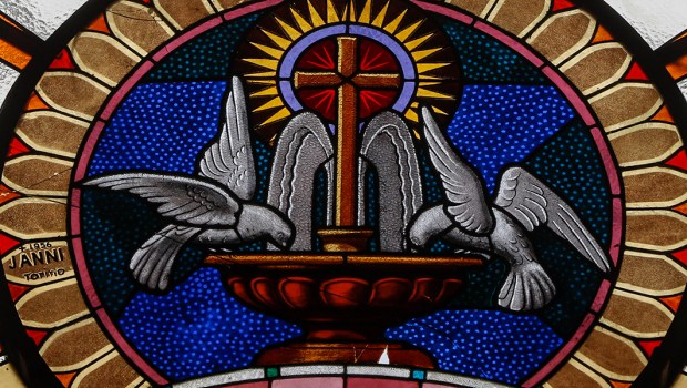 doves