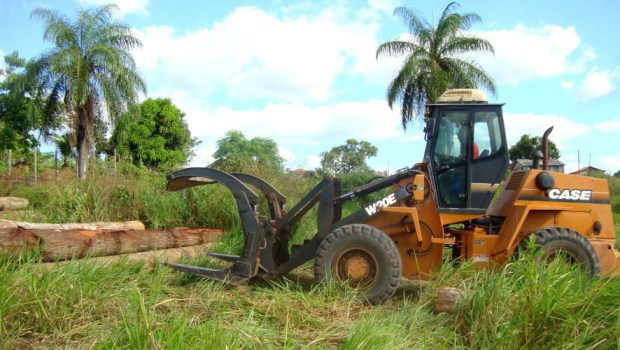DEFORESTATION