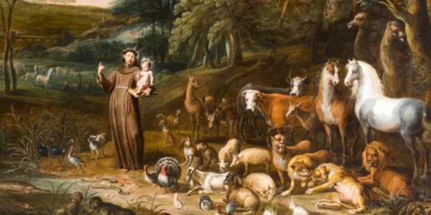 St. Francis