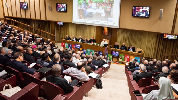 amoct1219-pope-synod-pan-amazon-antoine-mekary-aleteteia-am_7001.jpg