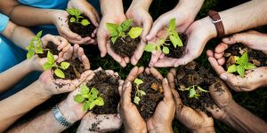 Como fazer do Advento um caminho de conversão ecológica
