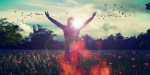 FREEDOM