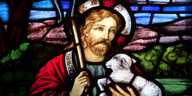 JESUS THE GOOD SHEPHERD