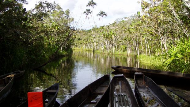 amazonie1.jpg