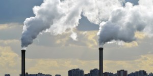 Jovens hesitam em ter filhos devido ao colapso ambiental