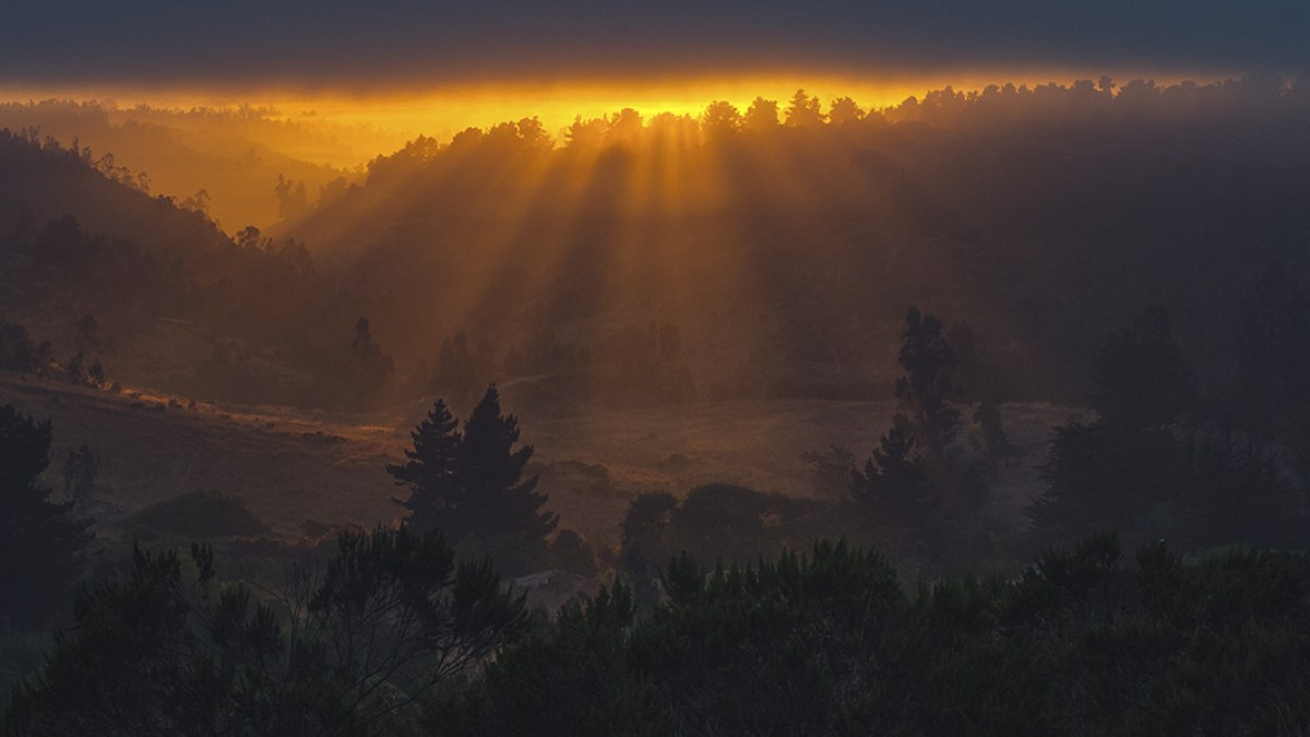 GOSPEL-SUNRISE-DARK-MOUNTAIN-TREES 10-12-15 Andrés-Navarro-García-CC