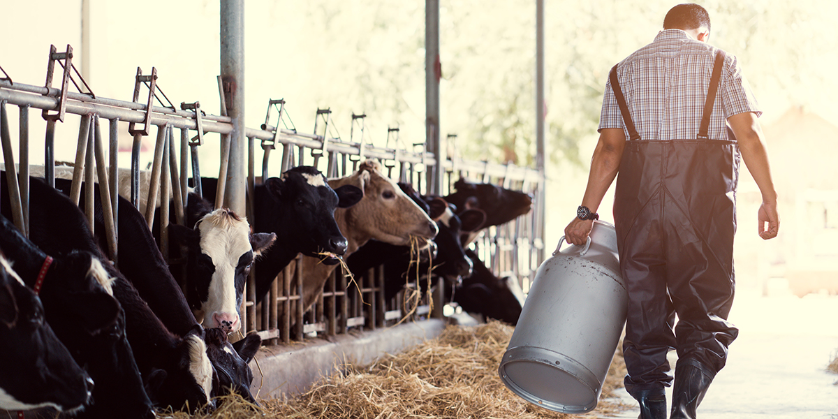 FARMER