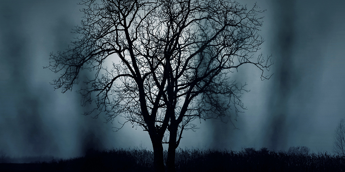 NIGHT