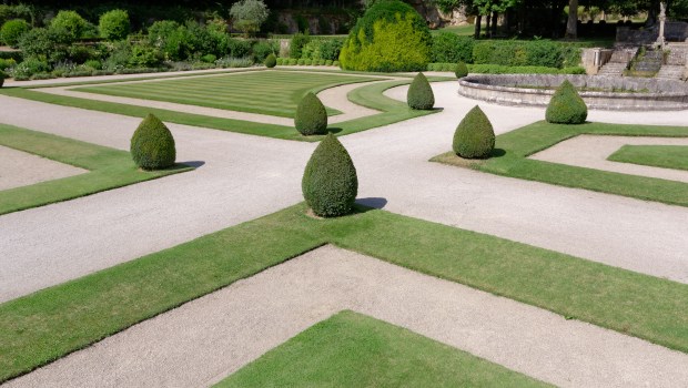 Garden Abbey Fontenay
