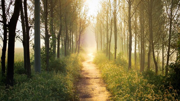 NATURE