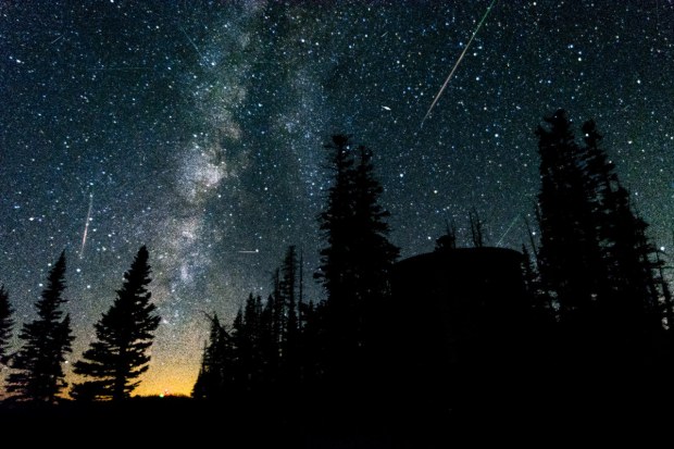 PERSEIDS
