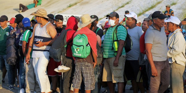 MIGRANTS