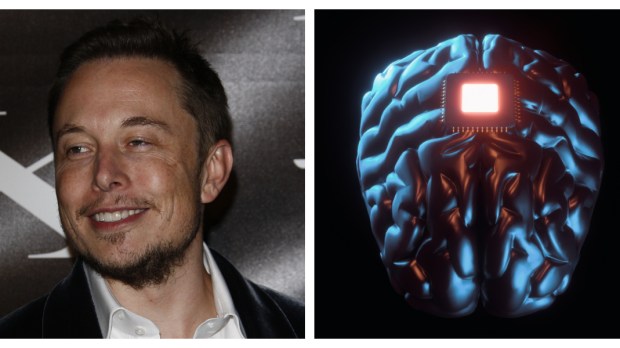 ELON MUSK, CHIP CEREBRAL