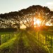Meditação matinal para aumentar o seu amor a Deus a cada dia