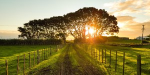 Meditação matinal para aumentar o seu amor a Deus a cada dia