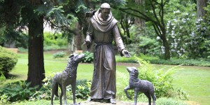 Por que São Francisco de Assis não foi ordenado padre?