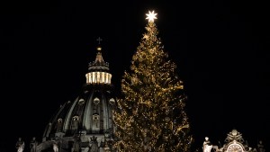 WEB2-AM151220-Christmas-tree-Vatican-Antoine-MEkary-ALETEIA-AM_3434.jpg