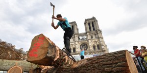 Novo pináculo da catedral de Notre Dame demandará mil troncos de carvalho