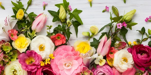 FLOWERS