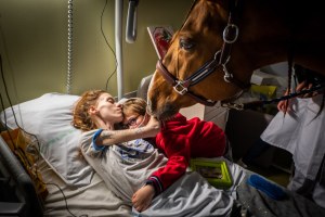 Peyo, o cavalo que detecta câncer e cuida dos doentes
