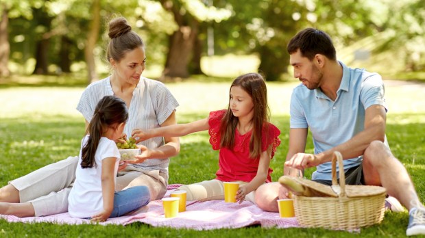 family picnic