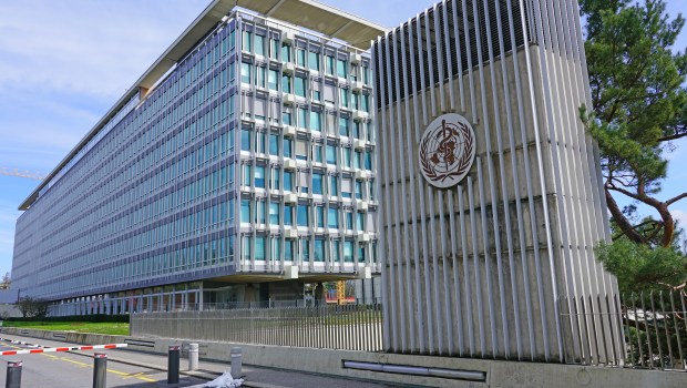 World Health Organization (OMS WHO)