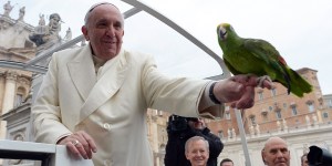 Incríveis histórias de papas e pássaros