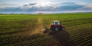 Cresce o investimento em alimentação sustentável