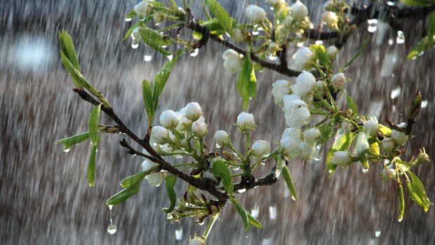 Oração católica para pedir chuva