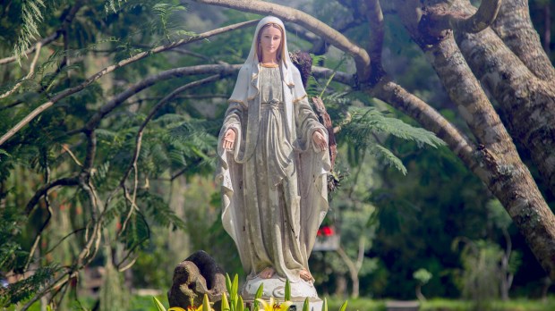 MOTHER MARY