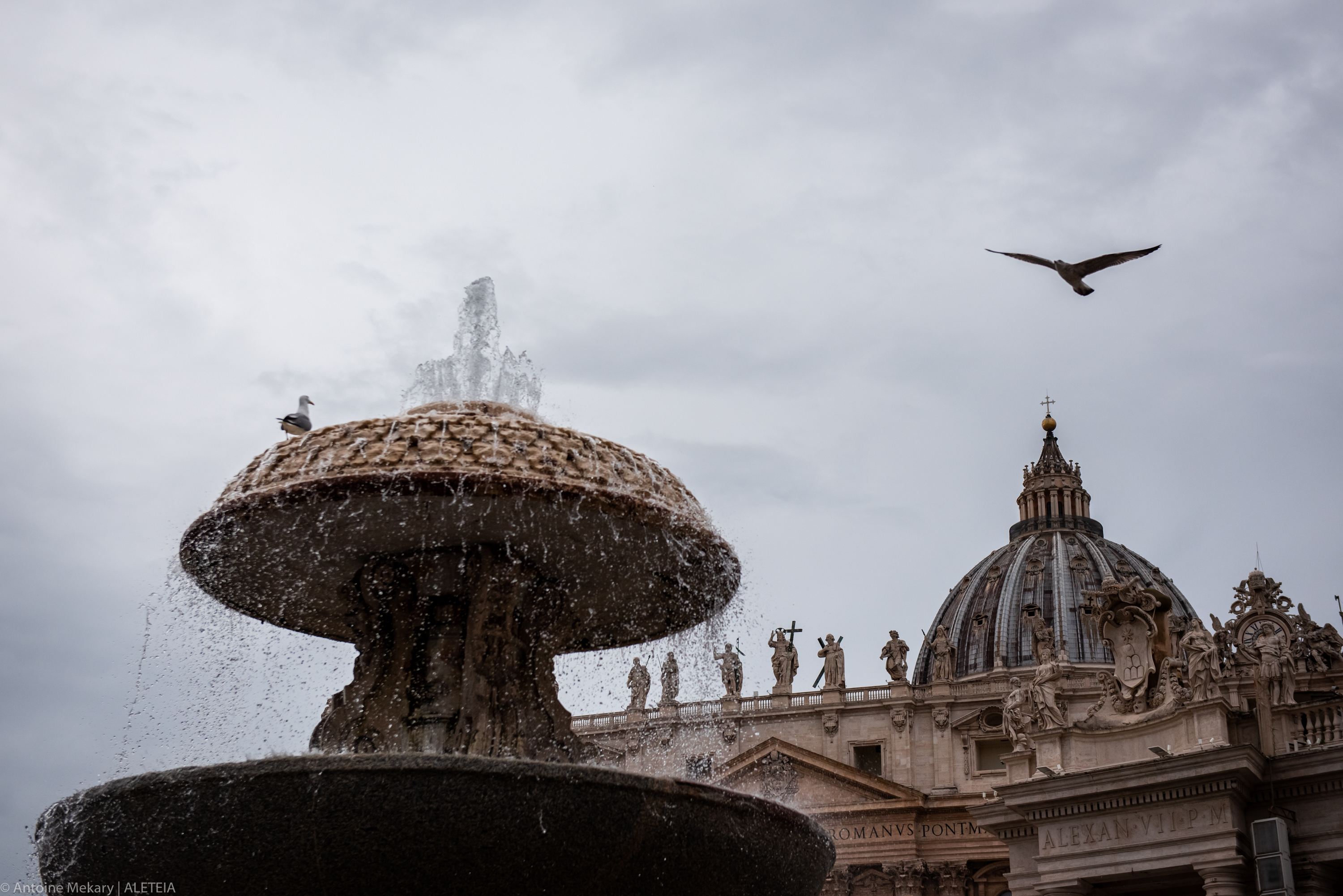 Pope Francis Angelus