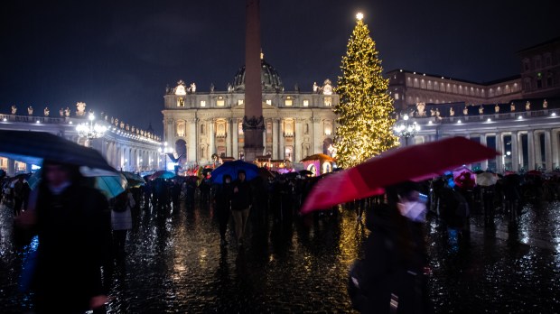 Vatican's Christmas Tree and Nativity Scene