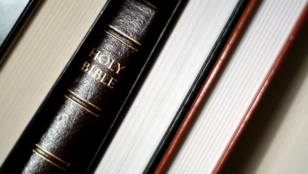 HOLY BIBLE