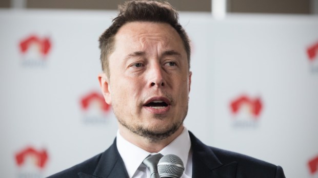 Elon Musk quer chips em cérebros humanos