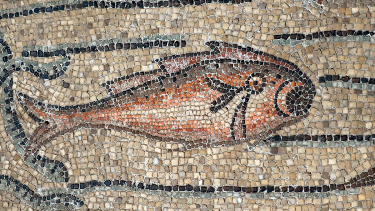 poisson