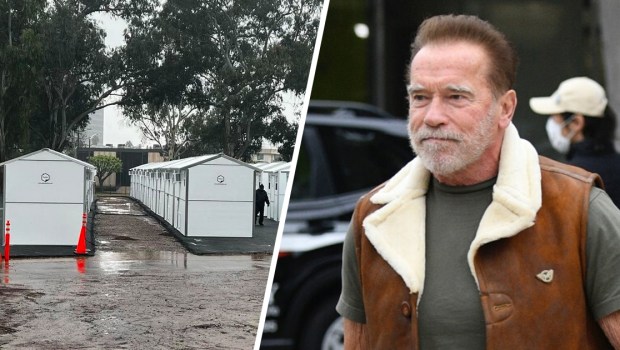 ARNOLD SCHWARZENEGGER