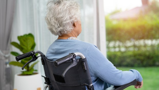 Neurocientistas brasileiras fazem descoberta relevante sobre Alzheimer
