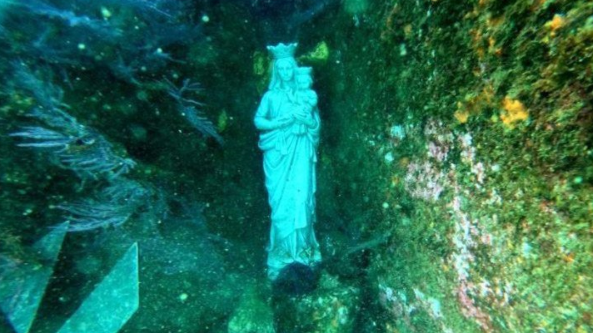 Our Lady Carmel