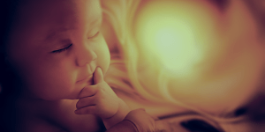 O aborto, os homens públicos e a Igreja