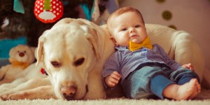 Por que os animais de estimação fazem bem para o corpo e para a alma?