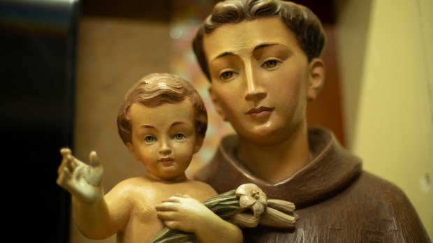 Santo Antônio de Pádua e o Menino Jesus