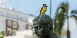 José de Anchieta: dramaturgo, gramático, poeta e missionário
