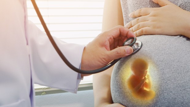 Grande parte dos católicos alemães dizem apoiar aborto em alguma medida